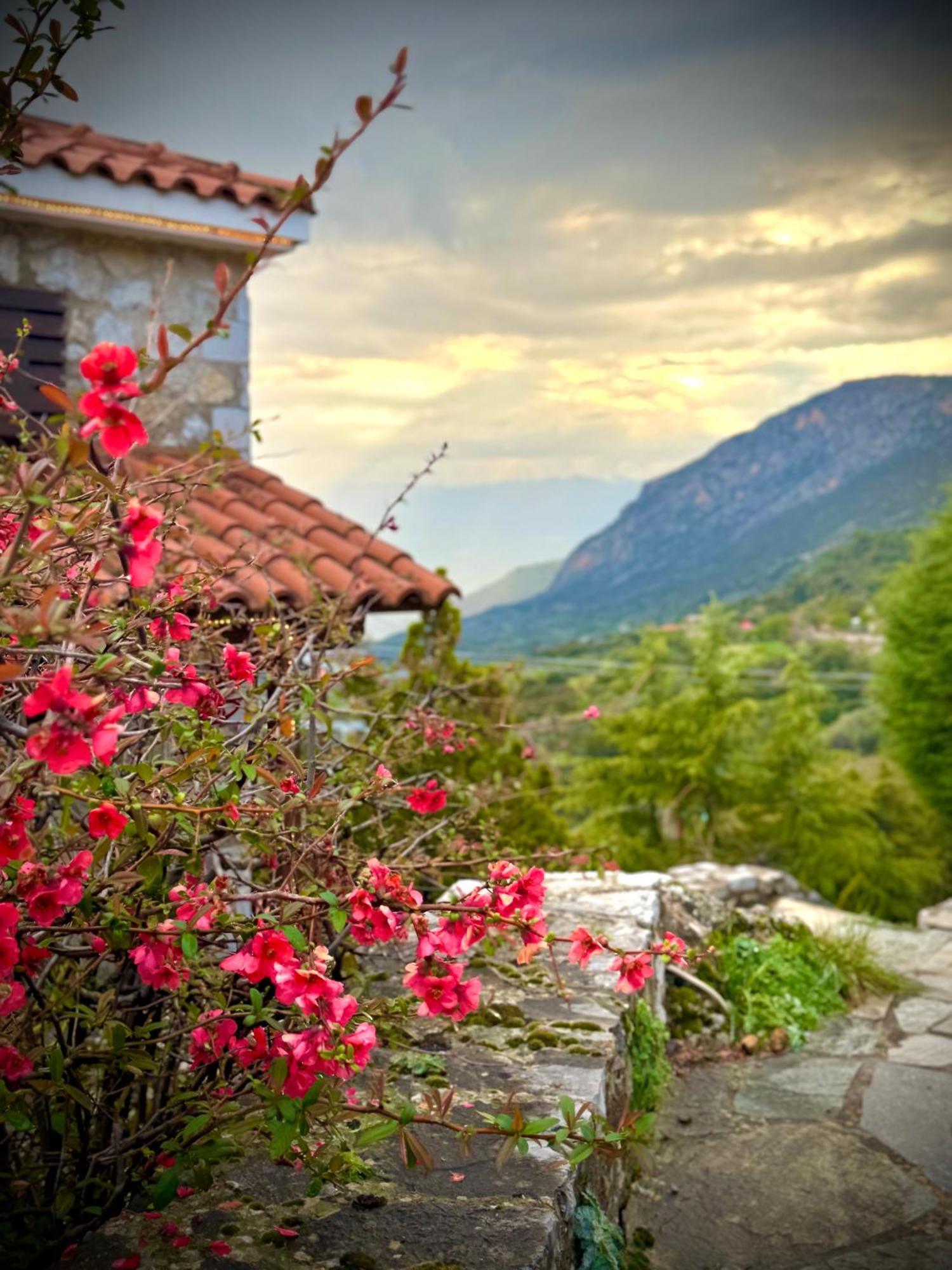 Rock Dandy Deluxe Chalet In Arachova - Delphi, Sauna, Prv Parking, Amazing View Экстерьер фото